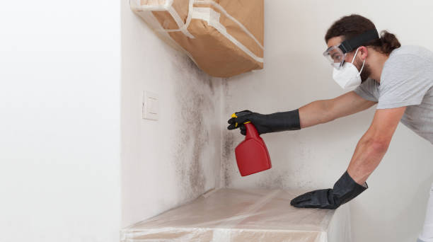 Professional Black Mold Removal technician working in Brunswick, NC