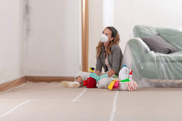 Reliable Black Mold Removal contractor in Brunswick, NC by WQB Mold Removal